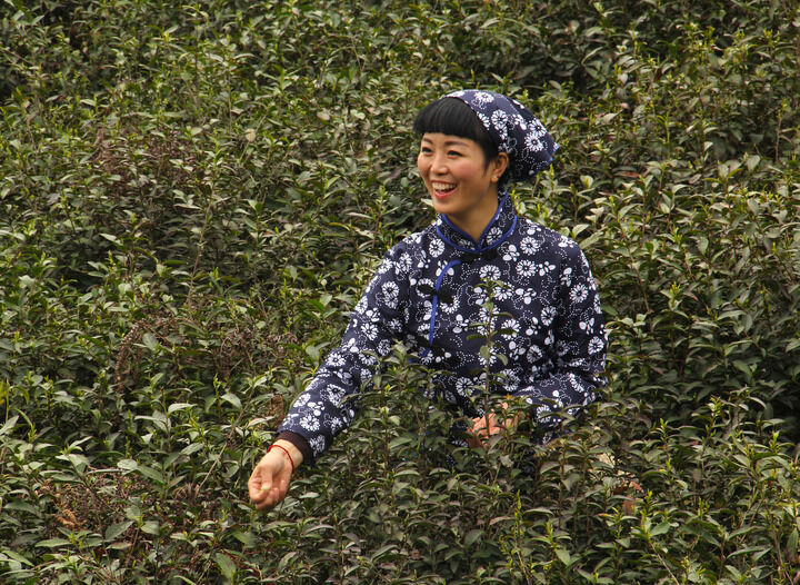 17间房主播跳舞 电影4